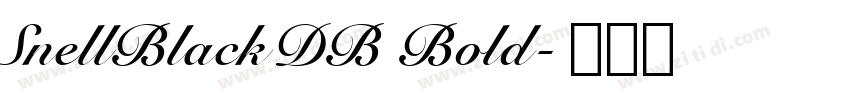 SnellBlackDB Bold字体转换